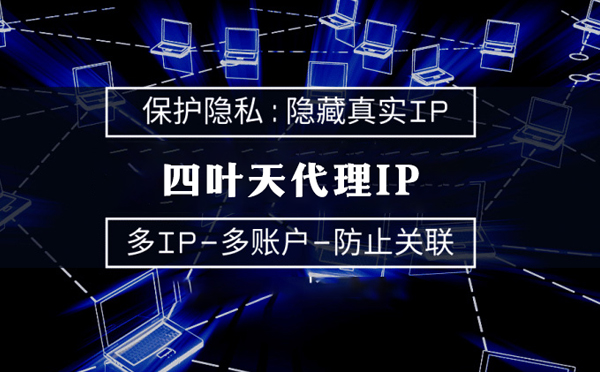 【绥化代理IP】服务器代理ip如何选择？如何挑选服务器代理商